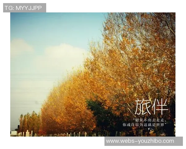 何思雨的心灵旅程与人生哲学探索之路