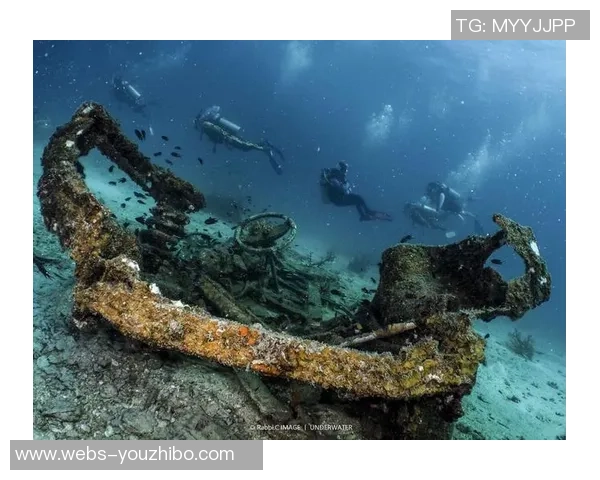 斯通斯的传奇旅程：从摇滚乐坛到全球文化的影响力探索